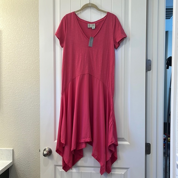 Saturday Sunday NWT Jeanette Maxi Dress Sz XSP pink hi lo - Picture 2 of 9